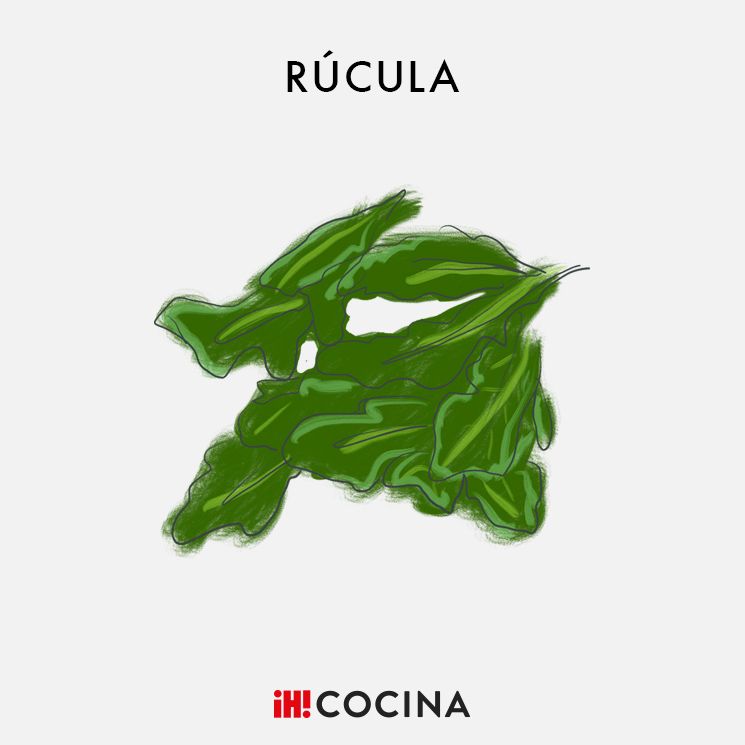 Rúcula