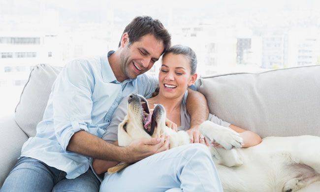 Pareja con mascota