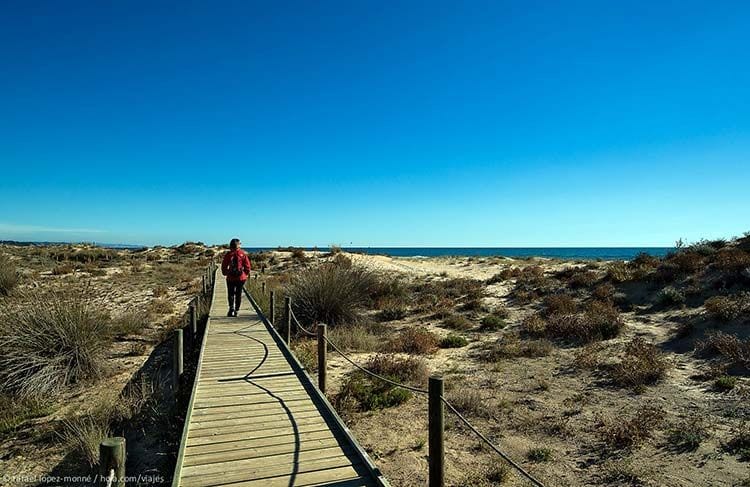 costa-daurada-naturaleza