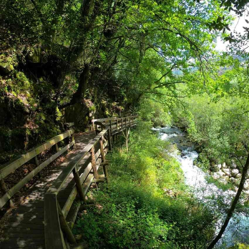 pasarelas de madera de sistelo en portugal