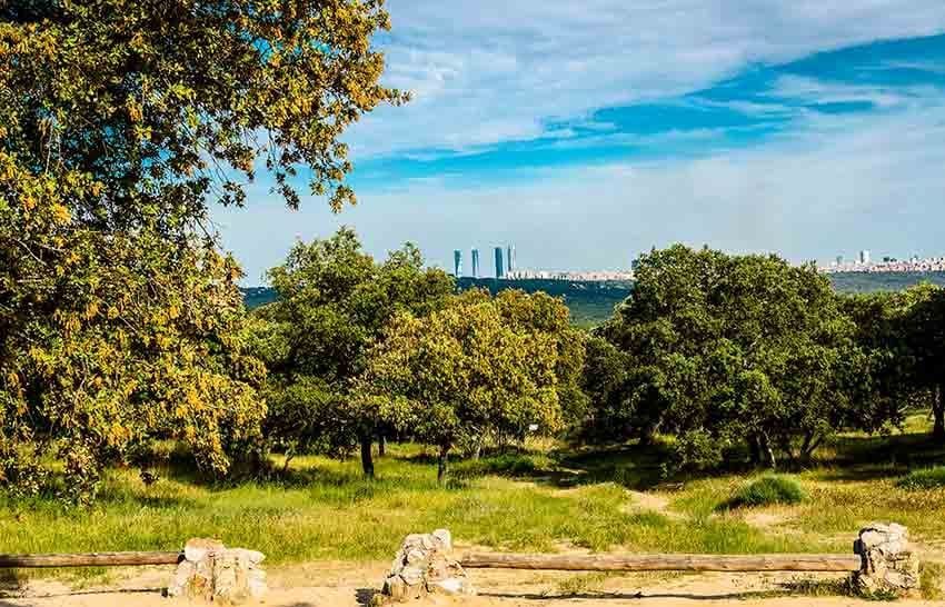 Madrid, monte de El Pardo