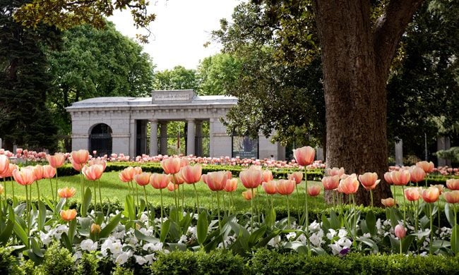 Jardín Botánico