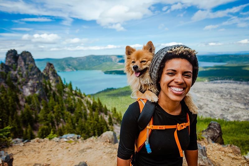 mujer viajando perro mochila