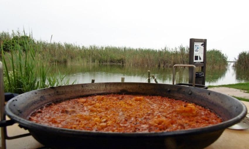 Dicen que el famoso plato valenciano de la paella nació en la Albufera en los siglos XV y XVI y aquí, en sus restaurantes, se degustan paellas excelentes.