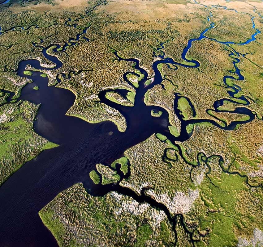 Parque Nacional de Everglades, Estados Unidos