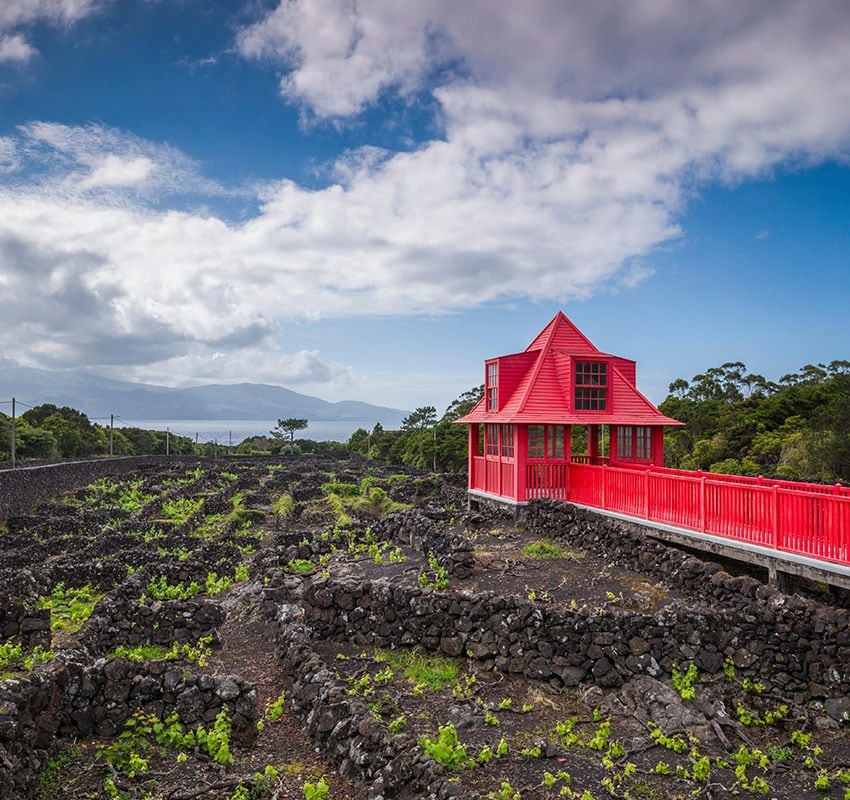 azores wajryw