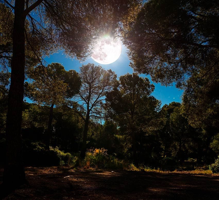 sierra espuna murcia