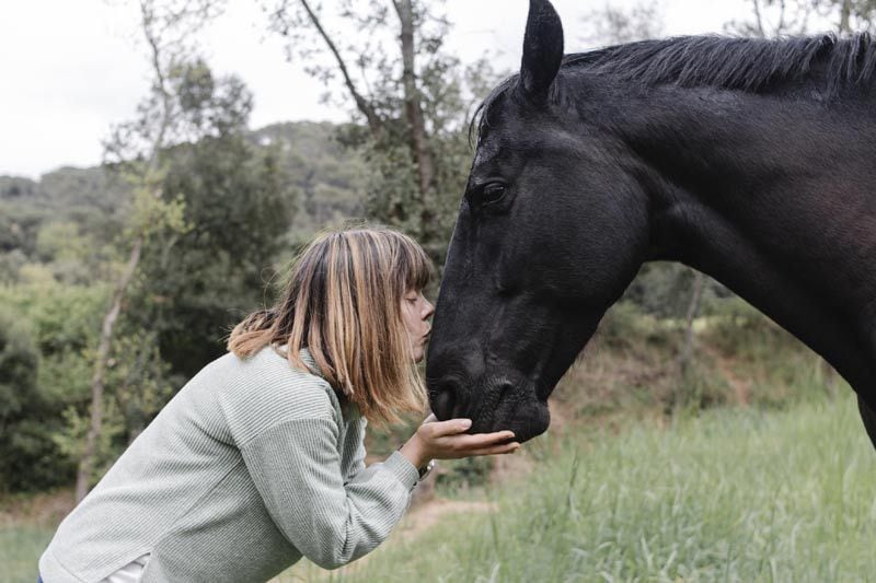 terapia caballo