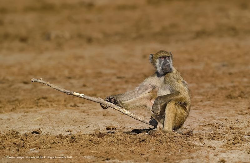 willem krugerbaboon fishing00003005