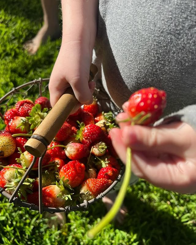 Meghan Markle le dio la bienvenida al a primavera con sus hijos, recogiendo fresas en su jardín