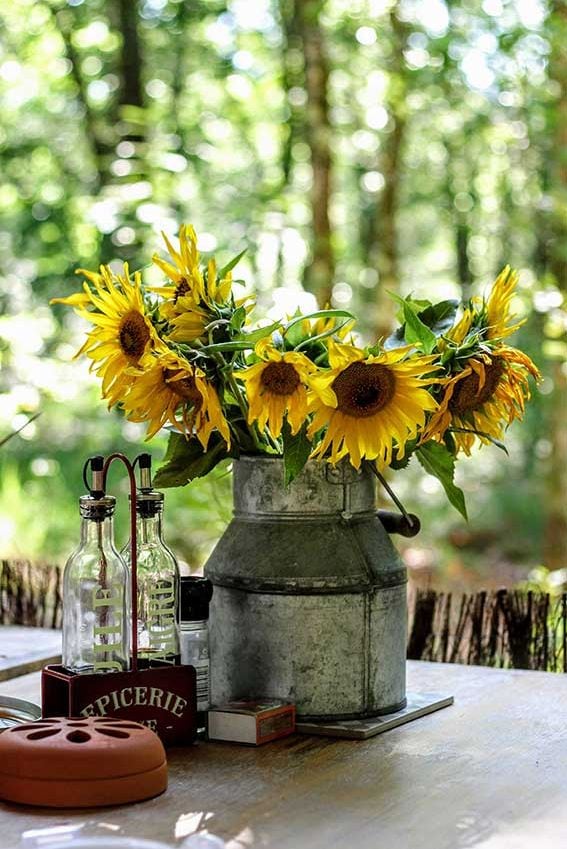 como cultivar girasoles en maceta 05a