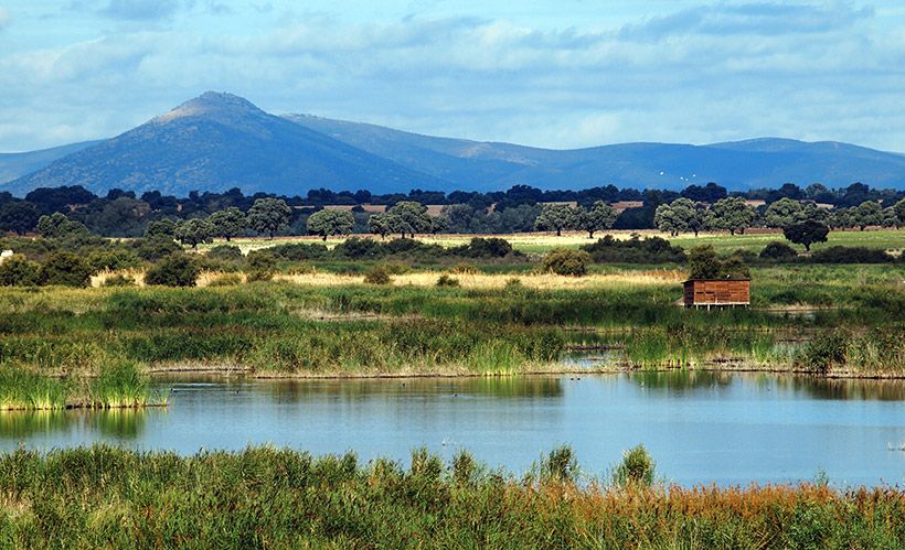 Daimiel tablas lagunas