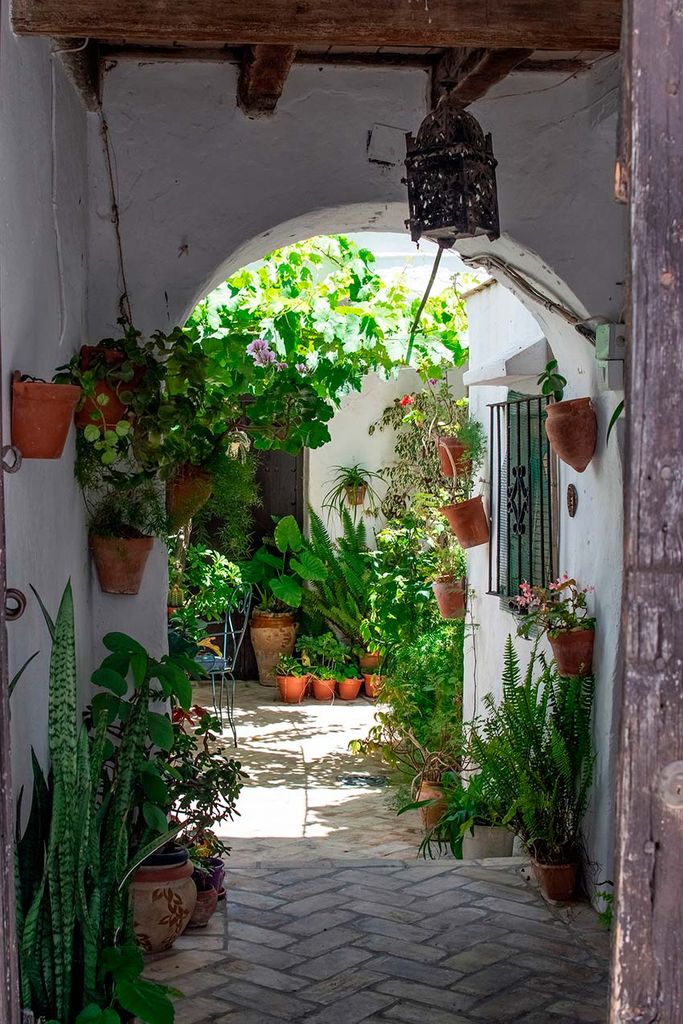 Patio andaluz en Vejer de la Frontera