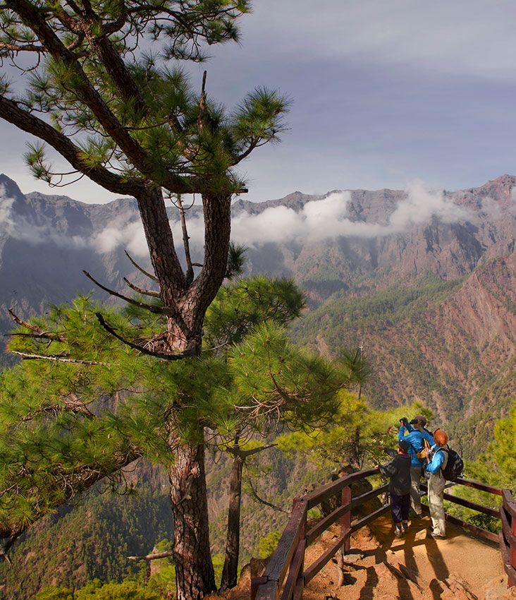 Caldera taburiente la plama