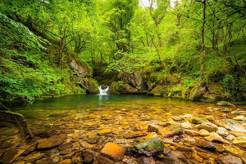 Área recreativa La Pesanca, Asturias