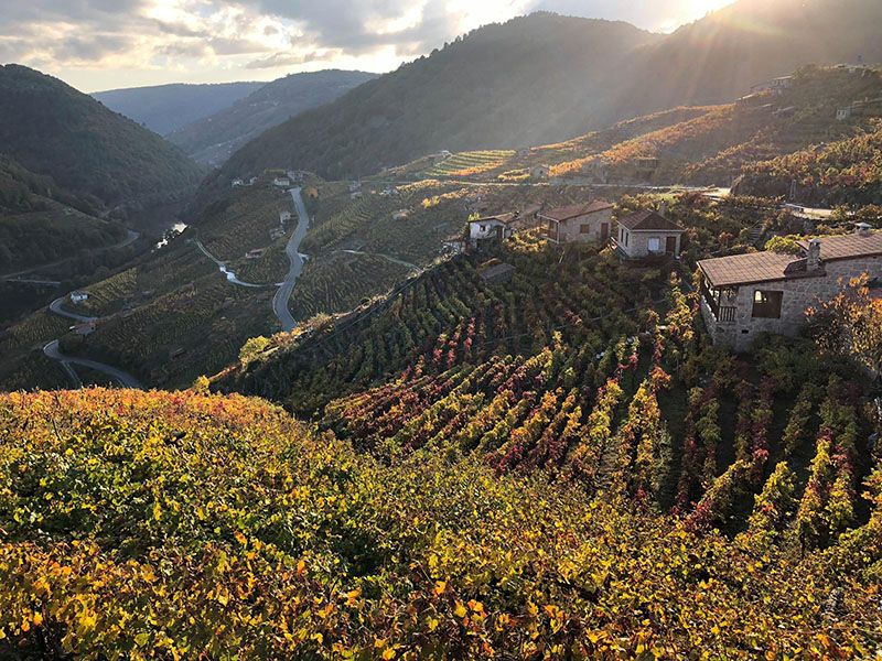 turismo galicia ribera sacara fitur 2019