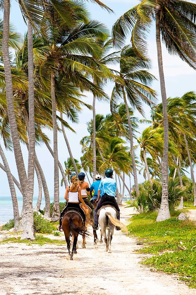 A caballo junto al mar por Punta Cana, República Dominica.a