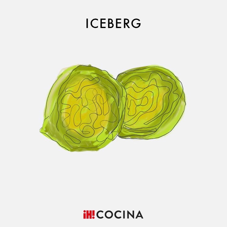 Lechuga 'iceberg'