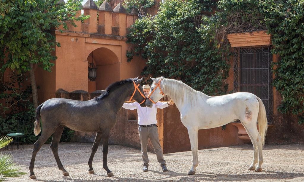 Los duques de Maqueda nos reciben en su cortijo sevillano