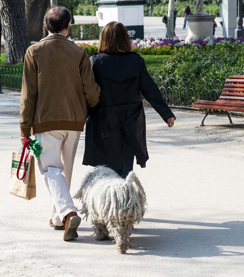 Pareja en el retiro con su perro