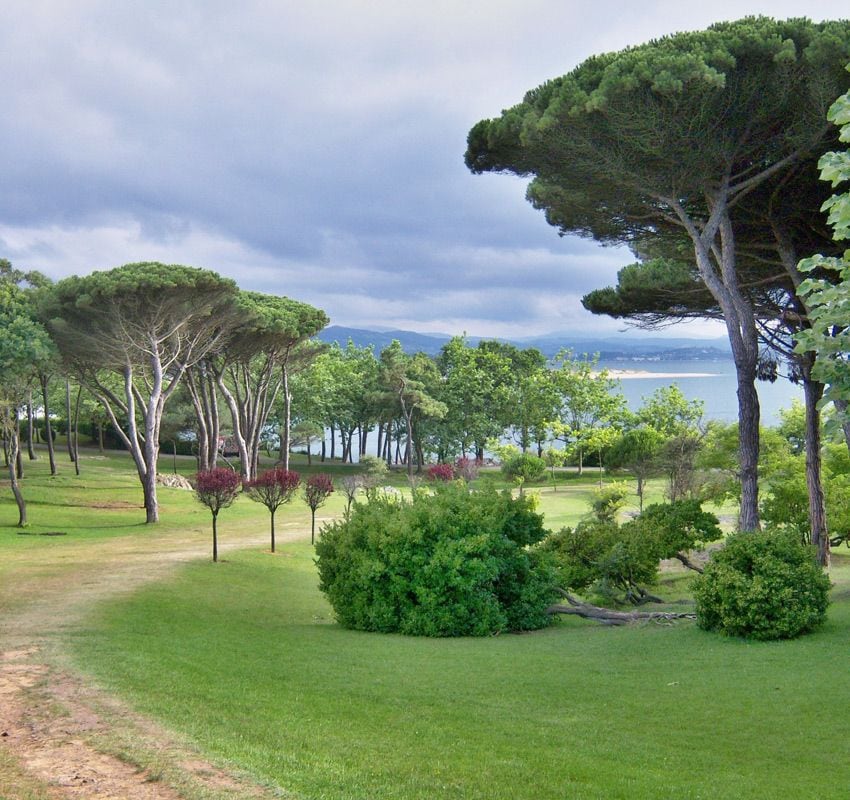 Árboles del jardín de La Magdalena en Santander