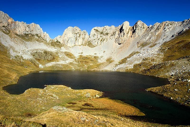 Ibon acherito huesca