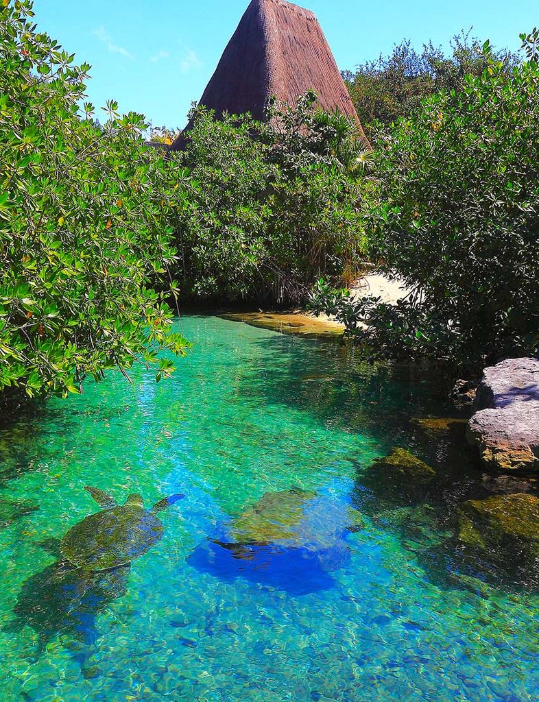 Parque Xcaret, Riviera Maya