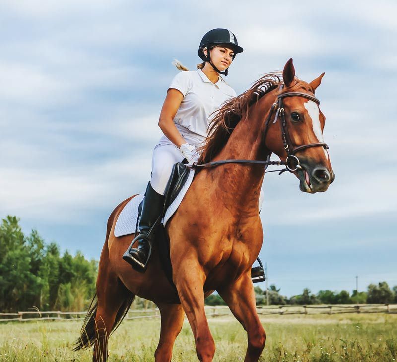 mujer caballo 2a