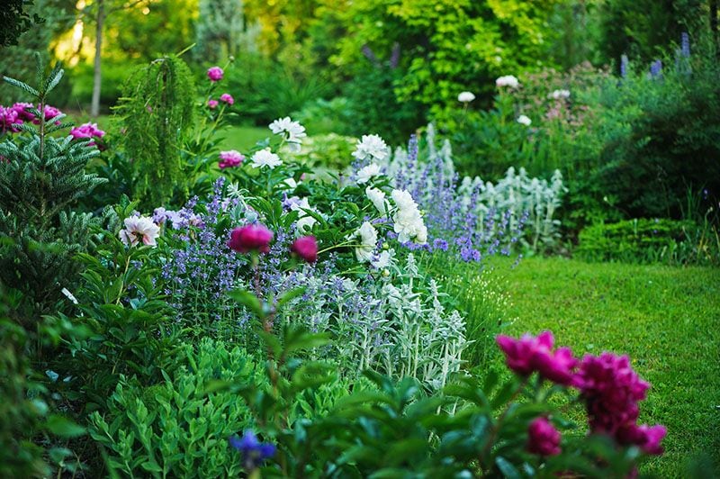 consejos paisajismo jardin 8