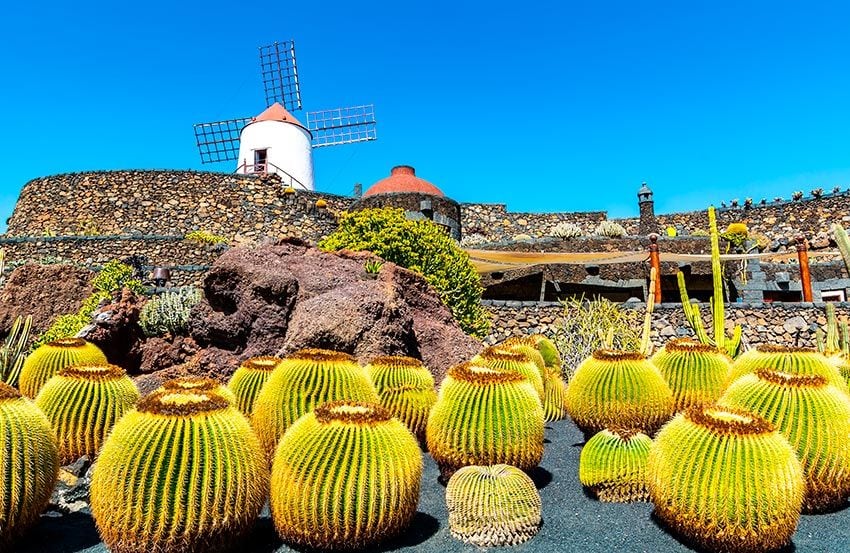 Jardín de cactus en Lanzarote