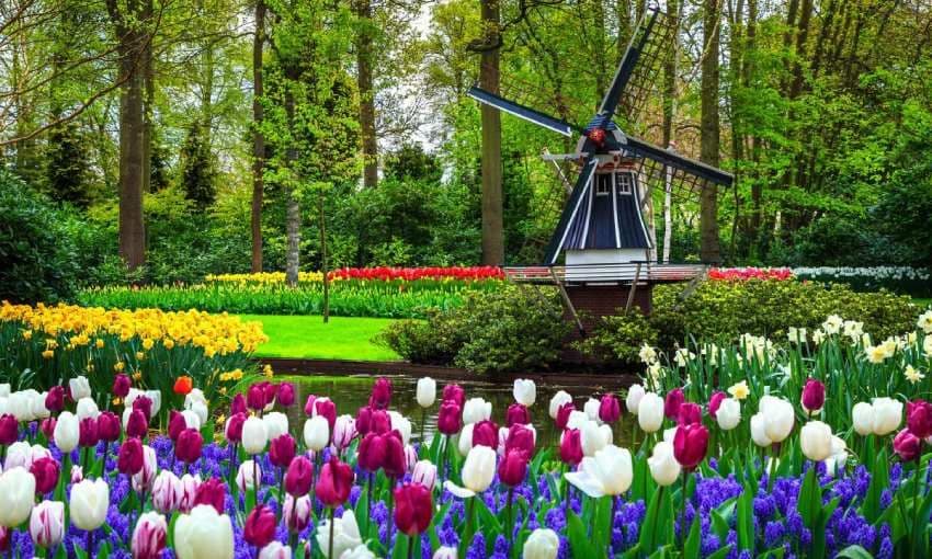 paisaje primaveral en el famoso jard n de keukenhof en holanda