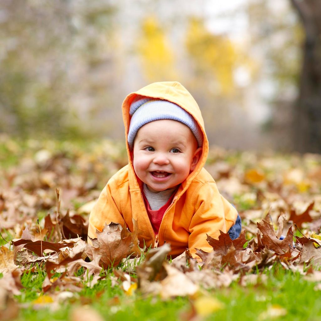 Bebé entre hojas secas