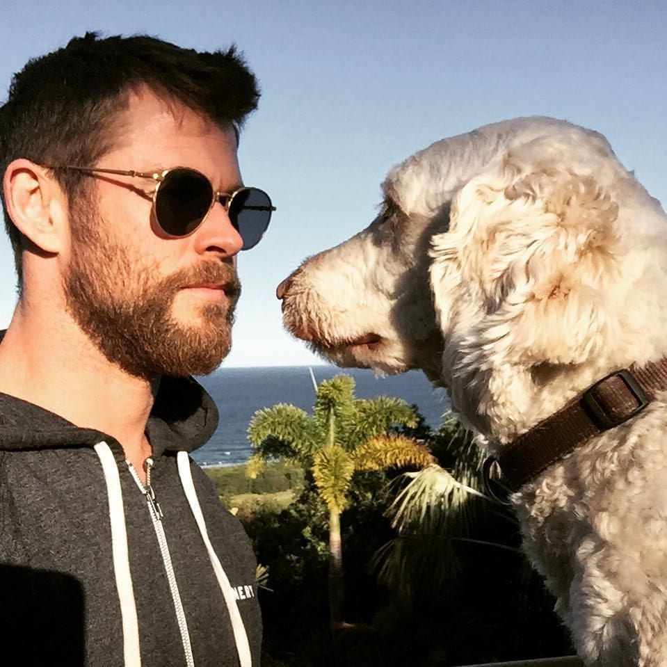 Chris Hemsworth y su perrita Sunny