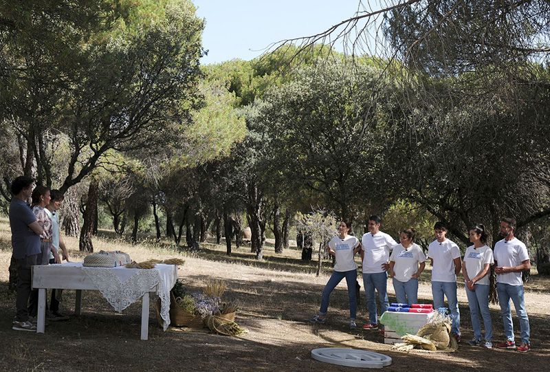 MasterChef viaja a la Sierra de Madrid