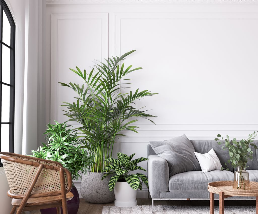 Salón con plantas
