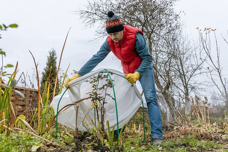 proteger plantas heladas 09a