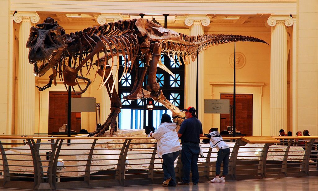 sue at the field museum