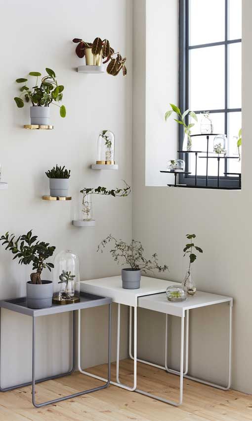 decorar plantas 8a