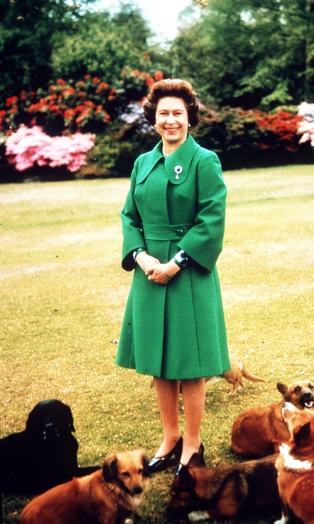 the queen and her corgis