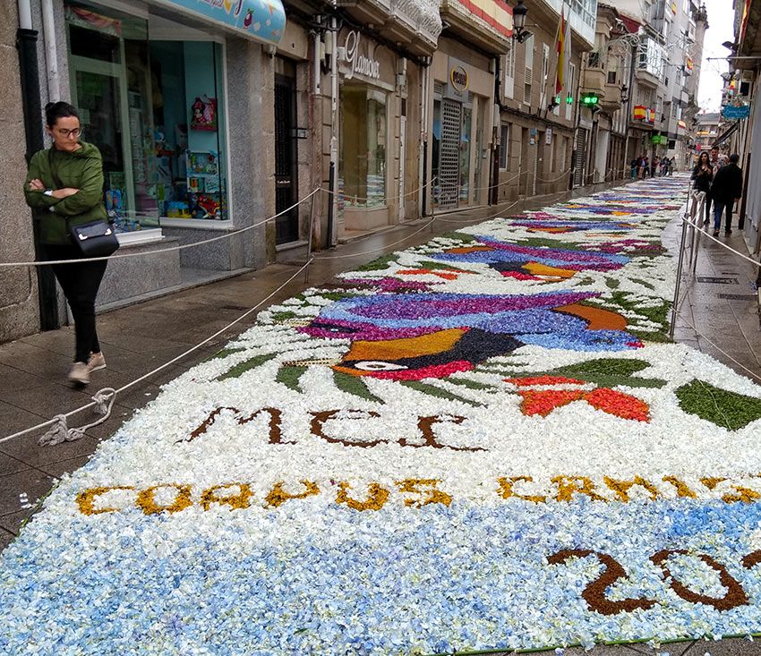 Alfombra de flores, Fiesta del Corpus, Ponteareas, Pontevedra, Galicia