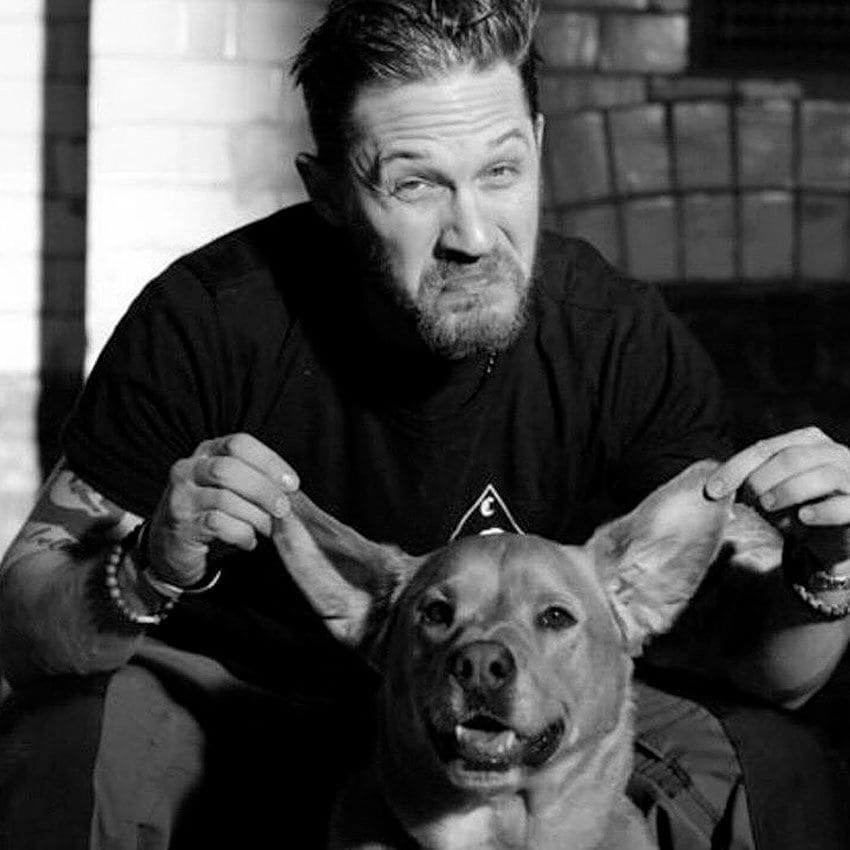 tomhardyholdingdogs