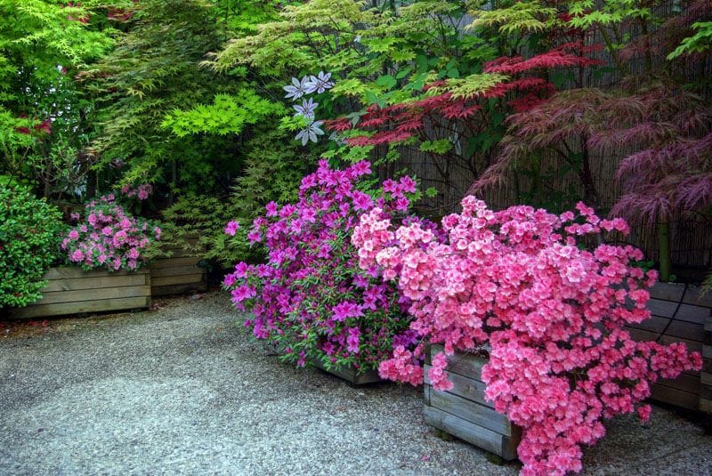 claves estilo jardin japones hola decoracion 03