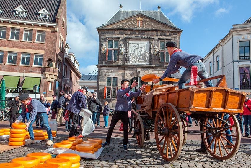 Feria de queso Gouda en la ciudad holandesa de Gouda