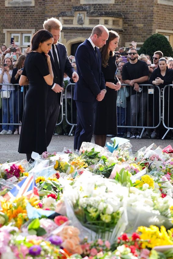 Harry, Meghan, Guillermo y Kate