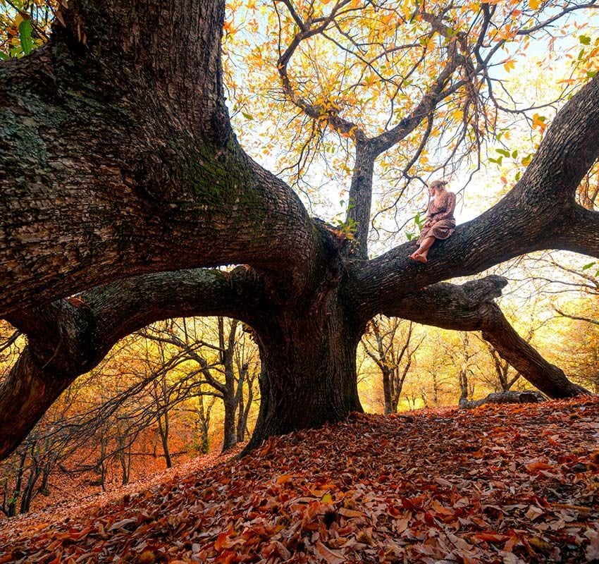 bosque malaga otono gettyimages 1565648831