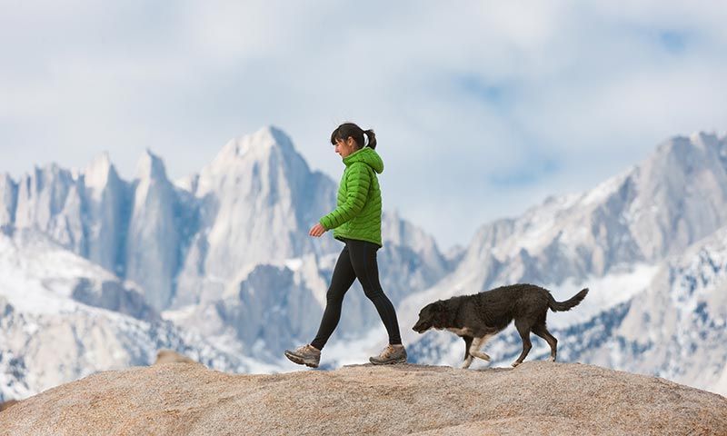 ejercicio y deportes que puedes hacer con tu perro 1