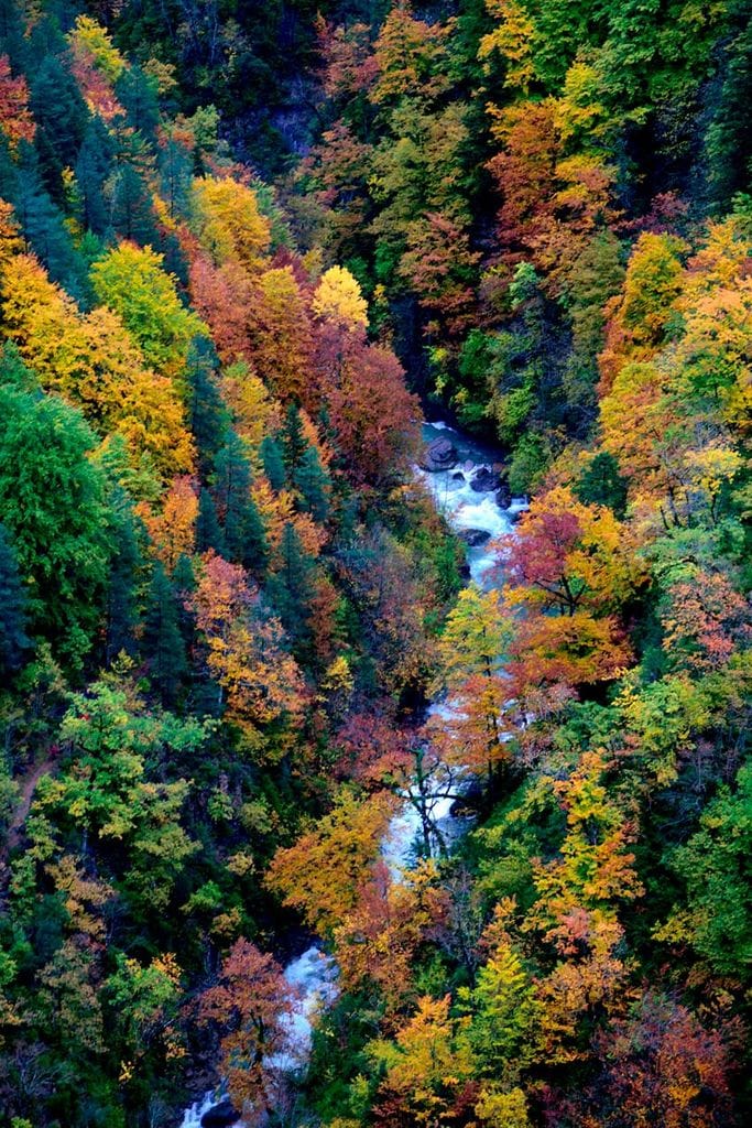 ordesa huesca