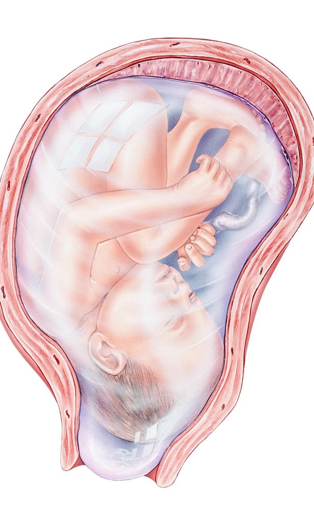 Bolsa amniótica en embarazo