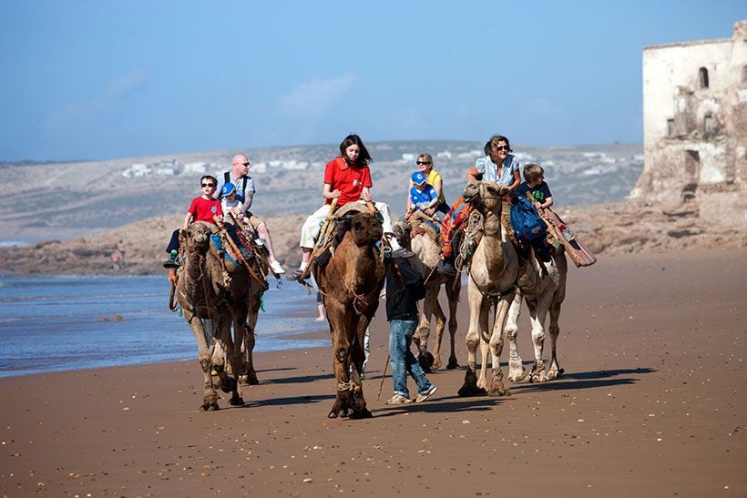 Essaouira-marruecos-treking-camello