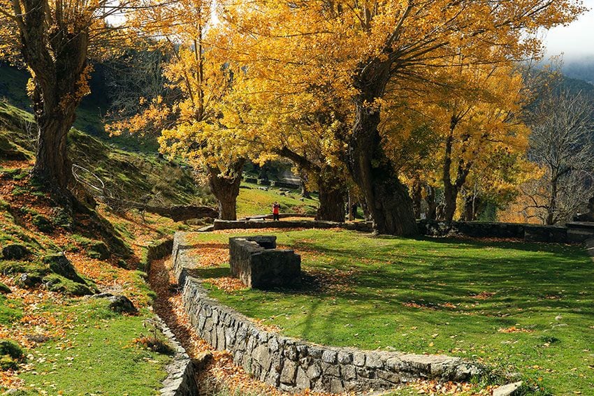 Sierra-Cebollera-la-rioja